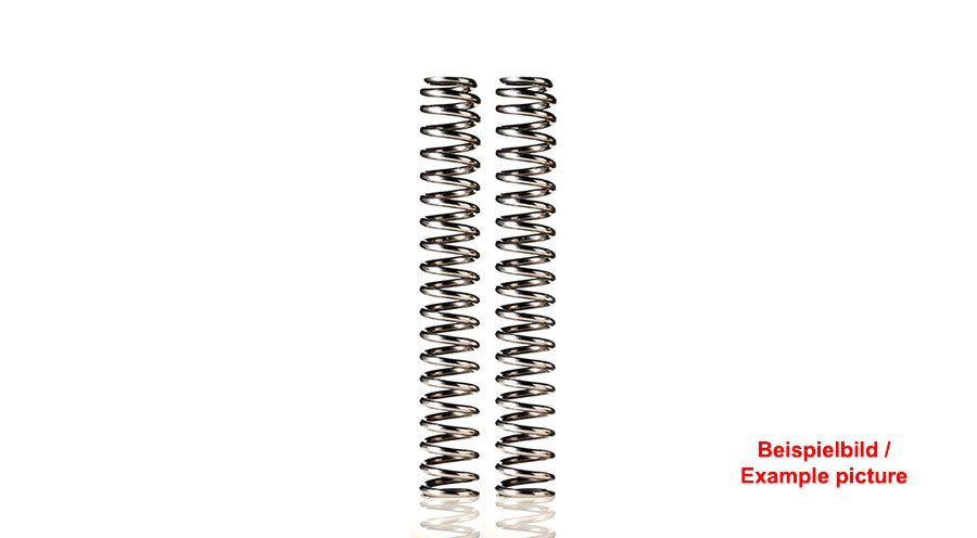 BMW F800GS (2024- ), F900GS & F900GS Adv Molle per forcella progressive Wilbers