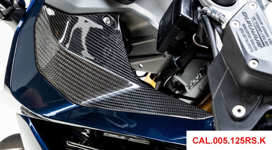 BMW R 1250 RS Copertura in carbonio per parte laterale degli strumenti