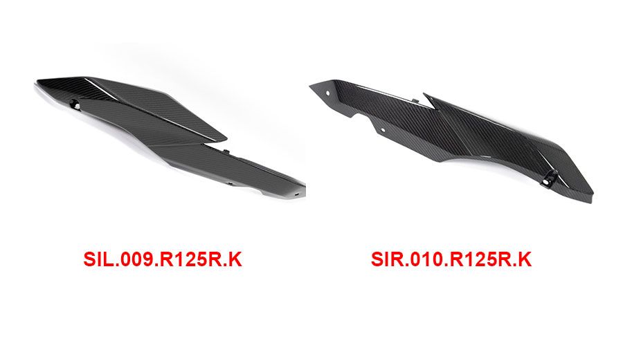 BMW R 1250 R Carenatura della coda in carbonio