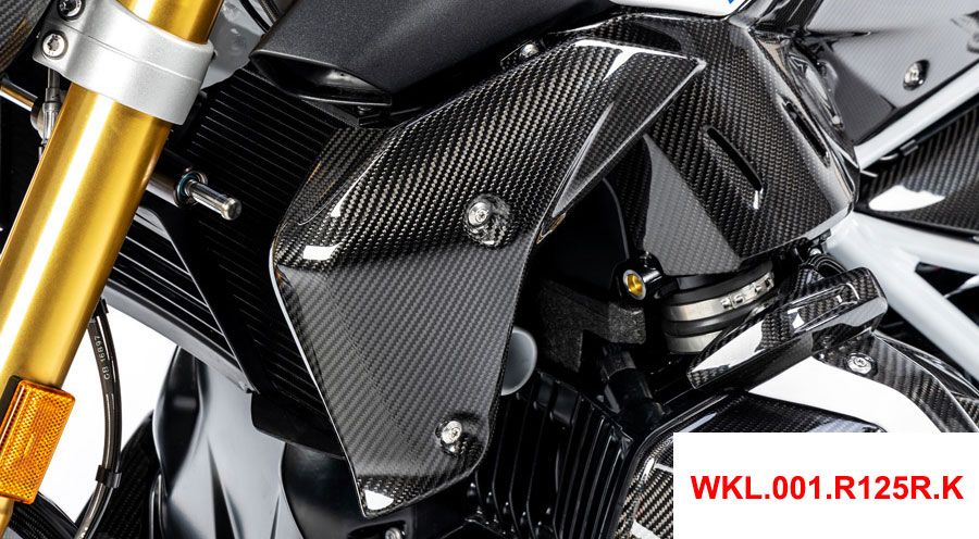 BMW R 1250 R Protezione radiatore in carbonio