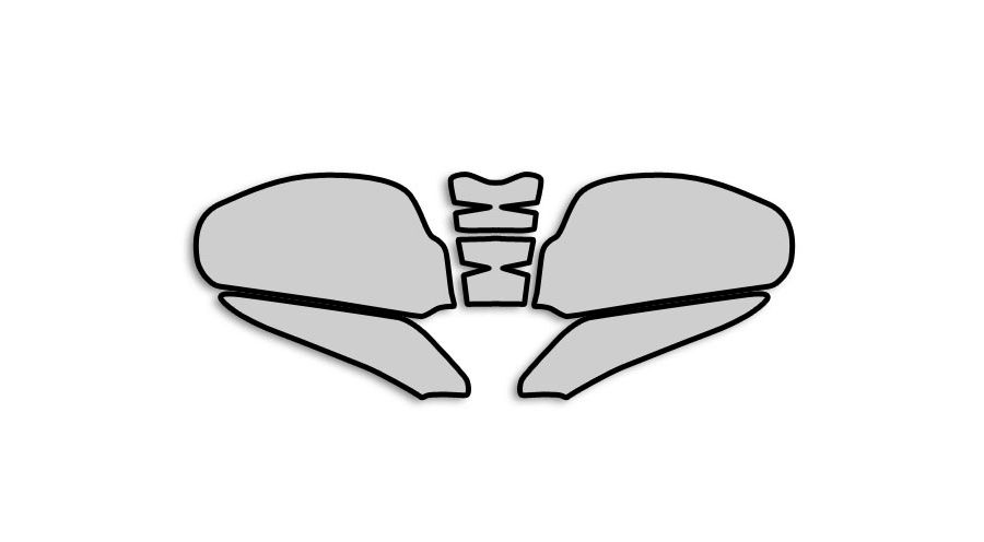 BMW R1200S & HP2 Sport Pellicole protettive per vernice