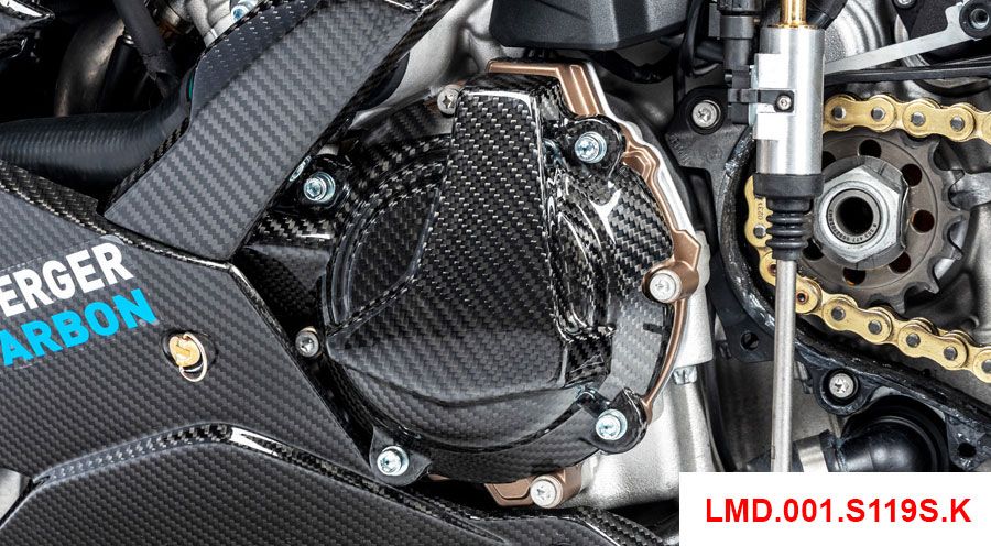 BMW S1000R (2021- ) Copertura degli alternatori