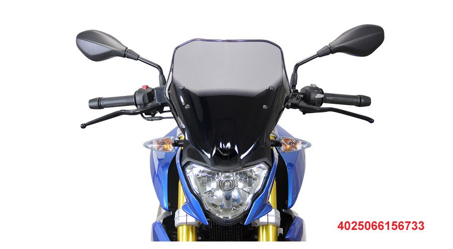 BMW G 310 R Parabrezza Racing