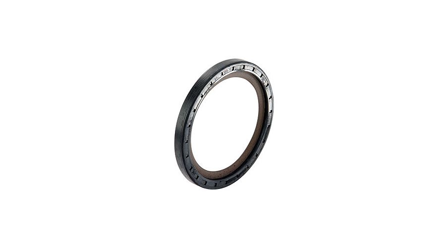 BMW R 100 Modelli Paraolio albero a camme posteriore
