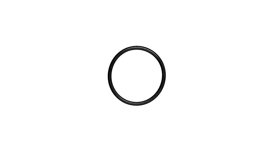 BMW R 80 Modelli O-Ring sensore accensione