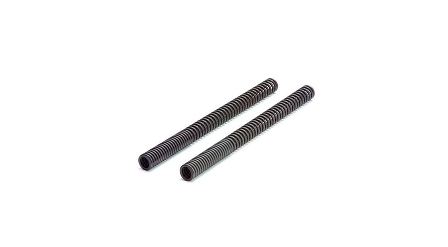 BMW R 80 Modelli Set molle forcella extra forte