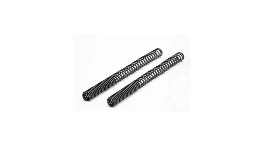 BMW R 80 Modelli Set molle forcella