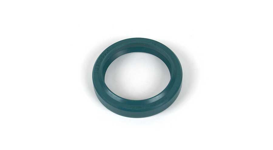 BMW R 100 Modelli Paraolio forcella