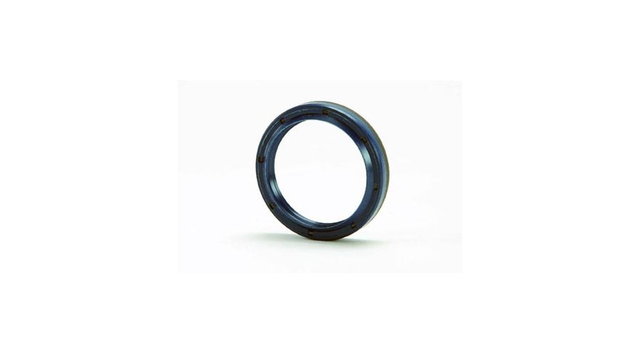 BMW R 100 Modelli Paraolio forcella