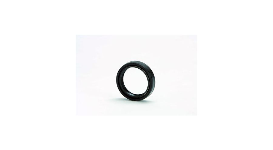 BMW R 100 Modelli Paraolio forcella