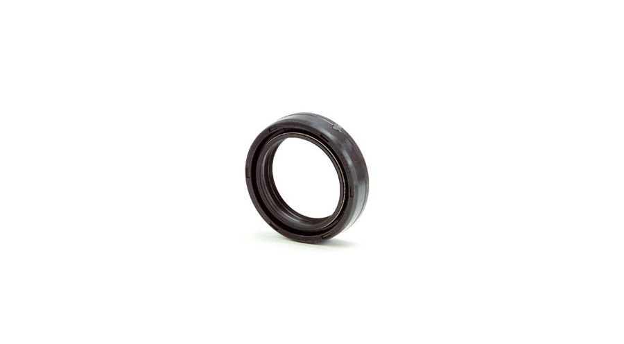 BMW K1200RS & K1200GT (1997-2005) Paraolio forcella