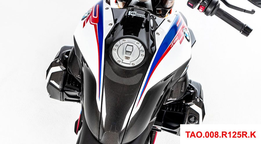 BMW R 1250 RS Pannello centrale serbatoio in fibra di carbonio