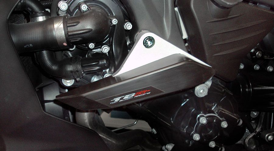 BMW K1200R & K1200R Sport Tamponi anticaduta Slider