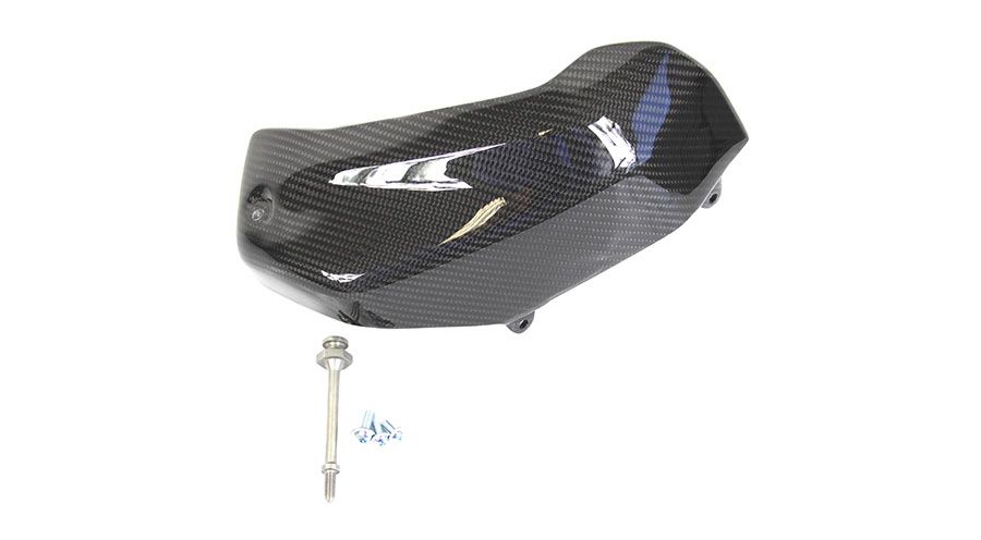 BMW R 1250 R Copertura bilanciere in carbonio lato destro