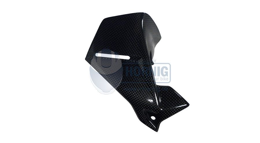 BMW R 1200 GS LC (2013-2018) & R 1200 GS Adventure LC (2014-2018) Paravento in carbonio lato sinistro della strumentazione