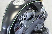 Set di adesivi decorativi per BMW R1250R