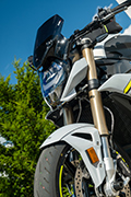 Conversione della BMW S1000R (2021) di Hornig