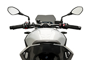 Parabrezza Sport per BMW S1000R (2021- )