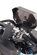 Conversione di Hornig della BMW R1300R