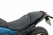 Conversione di Hornig della BMW R1300R