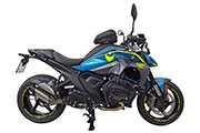 Conversione di Hornig della BMW R1300R