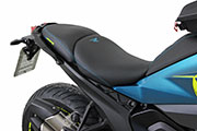 Conversione di Hornig della BMW R1300R