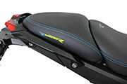Conversione di Hornig della BMW R1300R