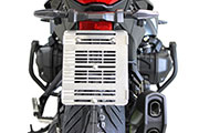 Conversione di Hornig della BMW R1300R