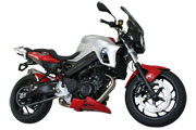 BMW F800R 2012 Hornig